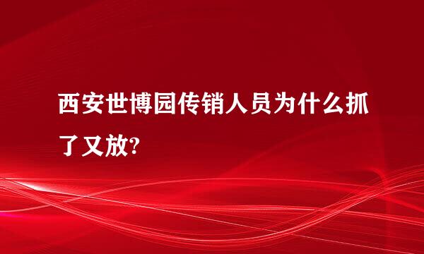 西安世博园传销人员为什么抓了又放?