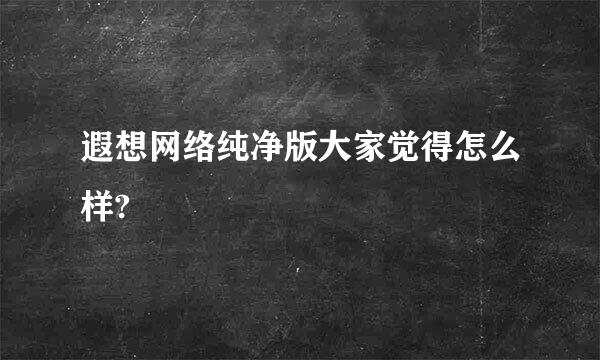 遐想网络纯净版大家觉得怎么样?