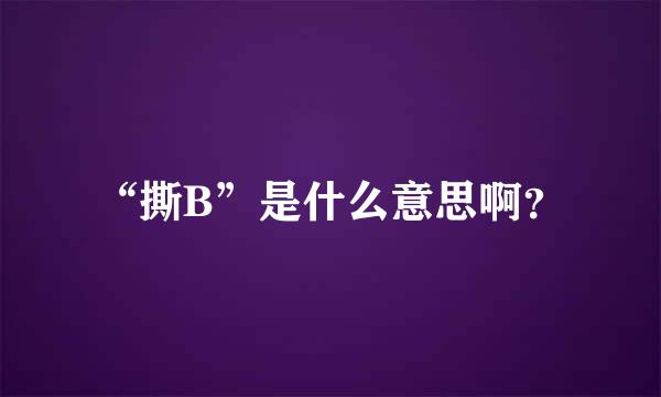 “撕B”是什么意思啊？