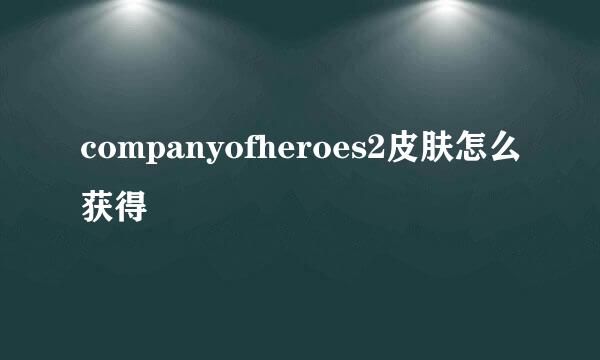 companyofheroes2皮肤怎么获得