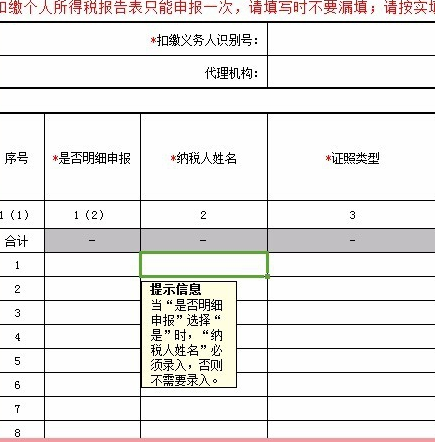 企业个税网上申报系统操作流程