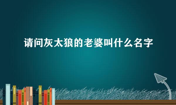 请问灰太狼的老婆叫什么名字