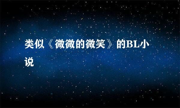 类似《微微的微笑》的BL小说