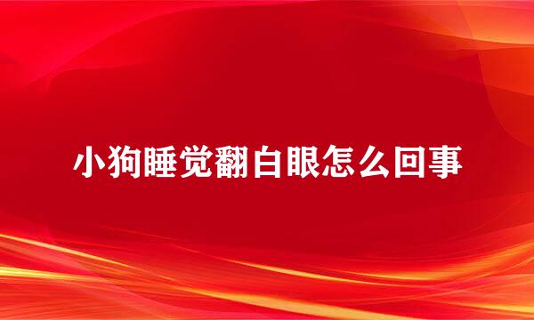 小狗睡觉翻白眼怎么回事