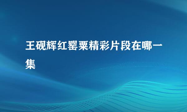 王砚辉红罂粟精彩片段在哪一集