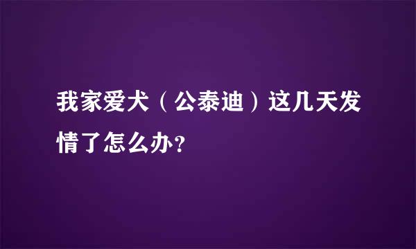 我家爱犬（公泰迪）这几天发情了怎么办？