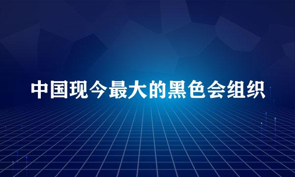 中国现今最大的黑色会组织