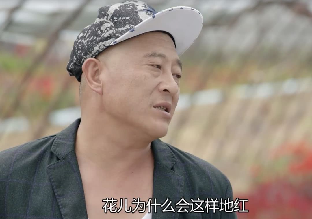 现在的东北人怎么样？