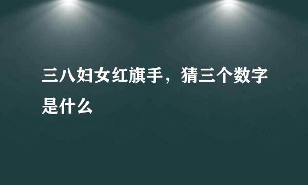 三八妇女红旗手，猜三个数字是什么