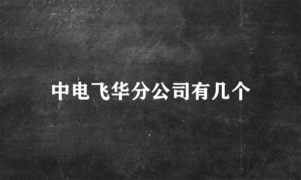 中电飞华分公司有几个