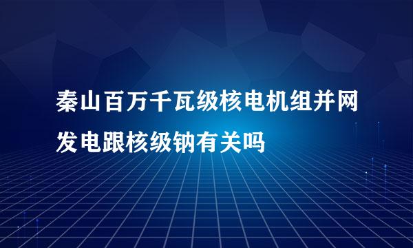 秦山百万千瓦级核电机组并网发电跟核级钠有关吗