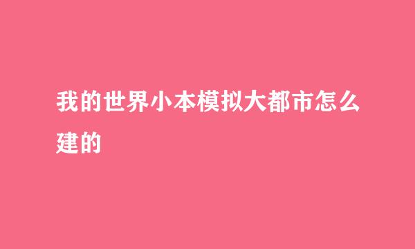 我的世界小本模拟大都市怎么建的