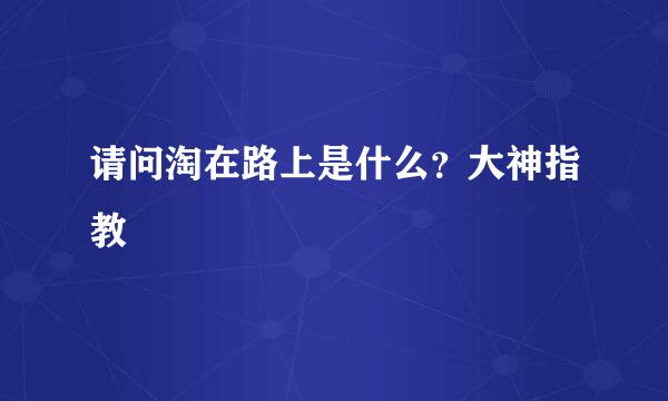 请问淘在路上是什么？大神指教