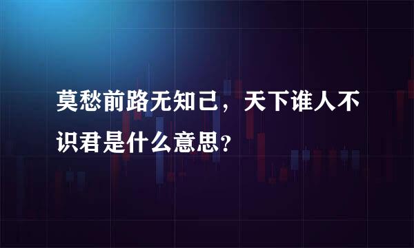 莫愁前路无知己，天下谁人不识君是什么意思？