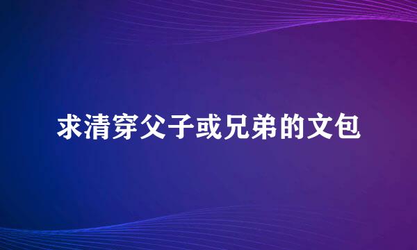 求清穿父子或兄弟的文包