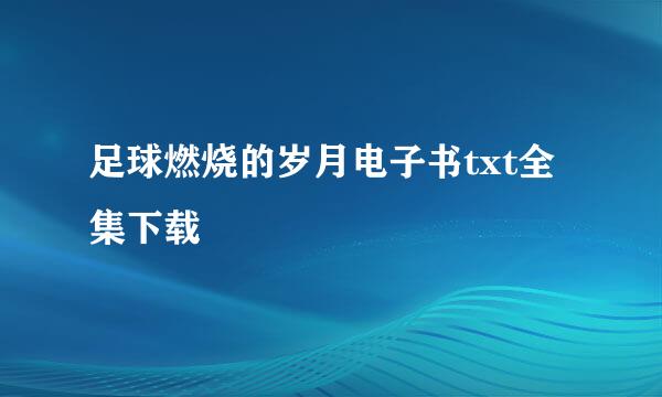 足球燃烧的岁月电子书txt全集下载