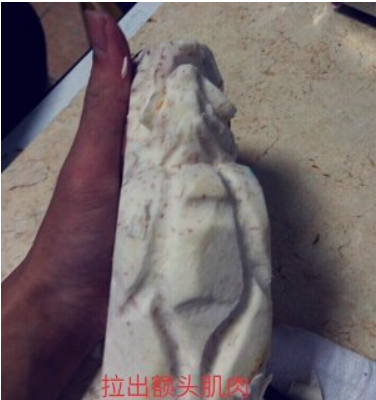 食品雕刻（龙头）怎么做