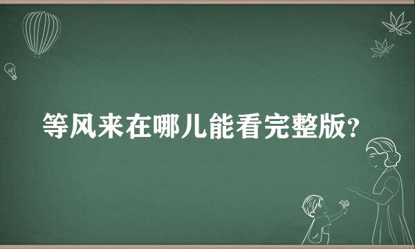 等风来在哪儿能看完整版？