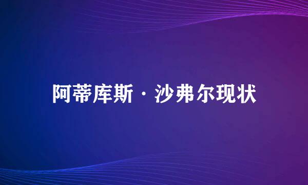 阿蒂库斯·沙弗尔现状