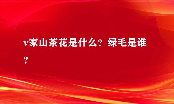 v家山茶花是什么？绿毛是谁？