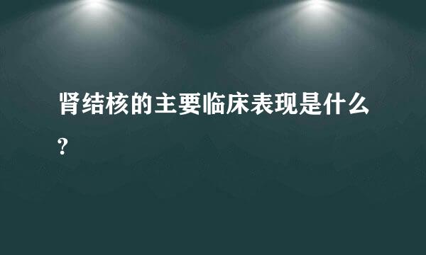 肾结核的主要临床表现是什么?