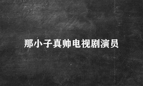 那小子真帅电视剧演员