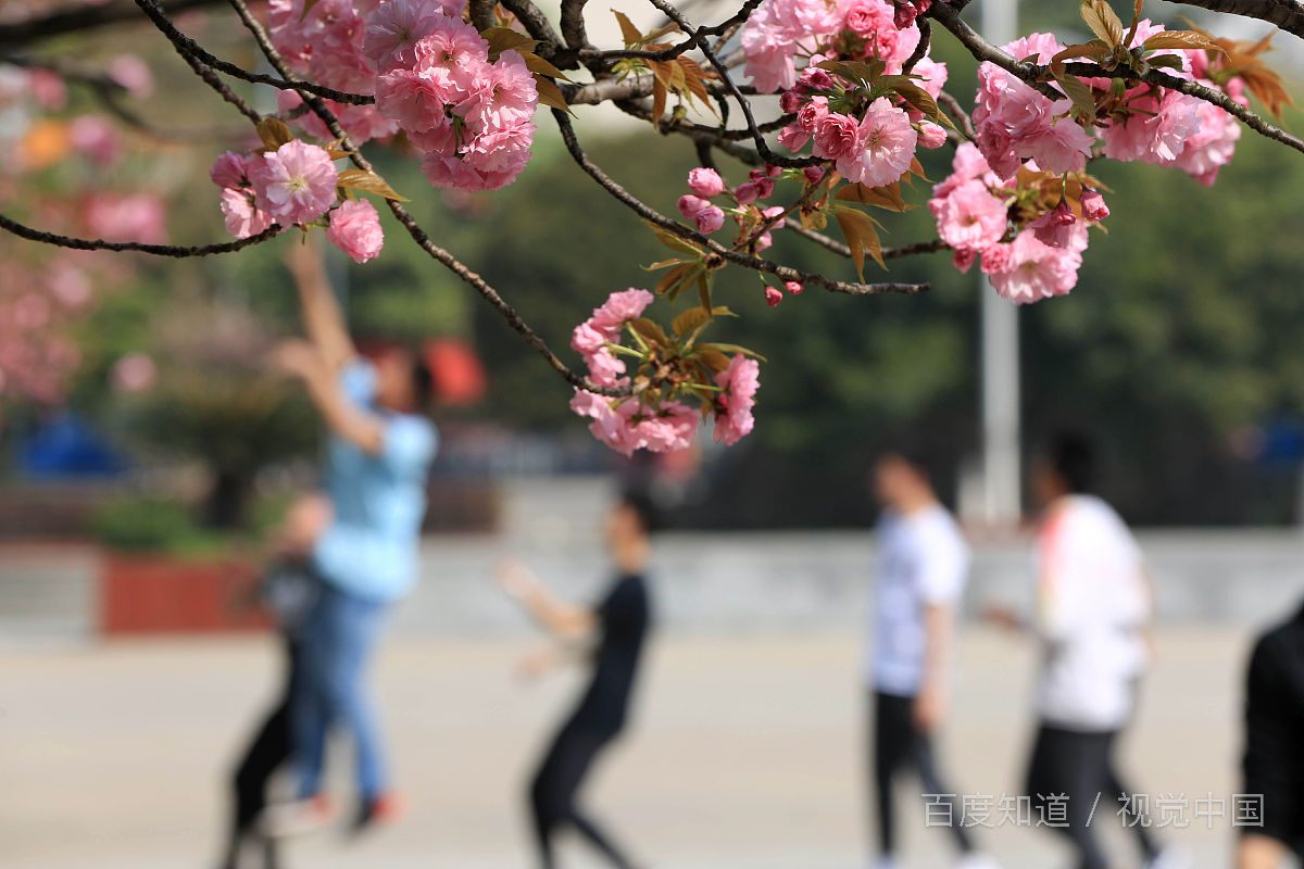 大学生应该如何学习