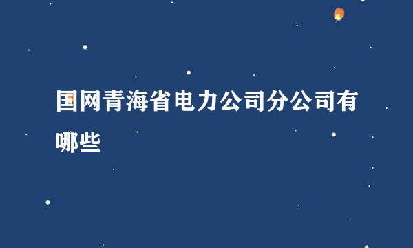 国网青海省电力公司分公司有哪些