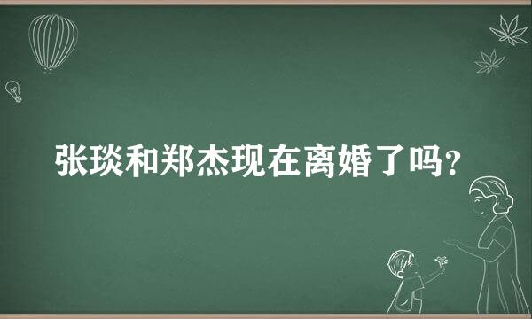 张琰和郑杰现在离婚了吗？