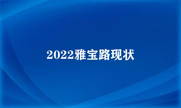 2022雅宝路现状