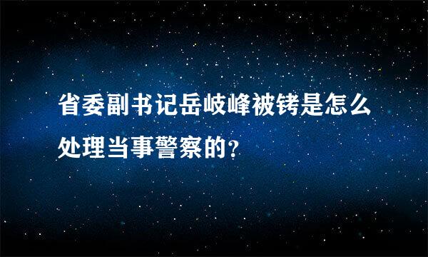 省委副书记岳岐峰被铐是怎么处理当事警察的？