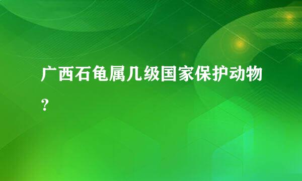 广西石龟属几级国家保护动物？