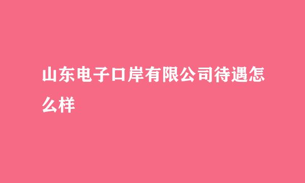 山东电子口岸有限公司待遇怎么样