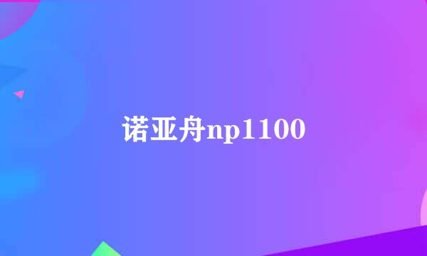 诺亚舟np1100