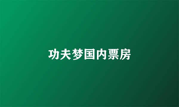 功夫梦国内票房