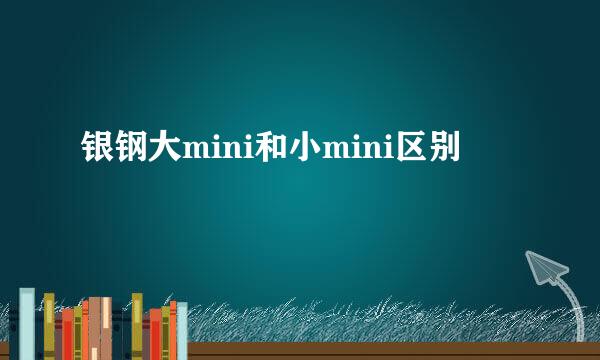 银钢大mini和小mini区别