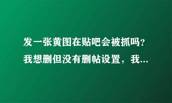 发一张黄图在贴吧会被抓吗？我想删但没有删帖设置，我会不会被抓去拘留。