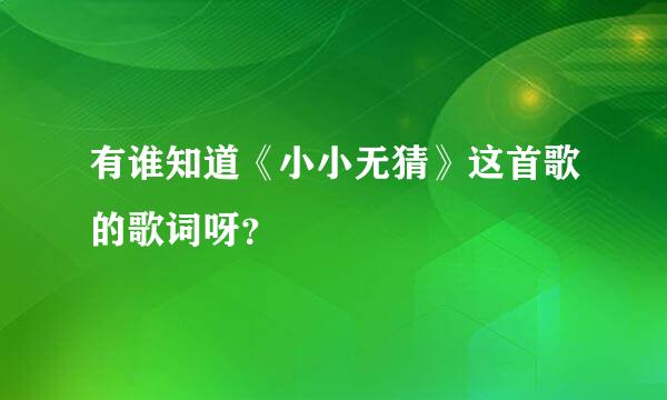 有谁知道《小小无猜》这首歌的歌词呀？