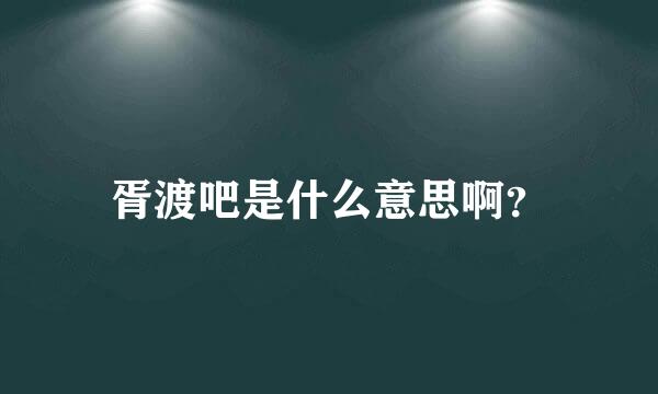 胥渡吧是什么意思啊？