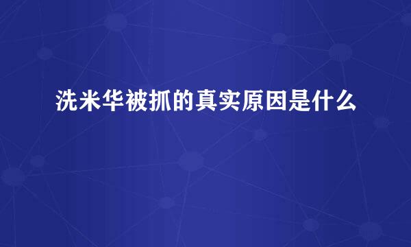 洗米华被抓的真实原因是什么