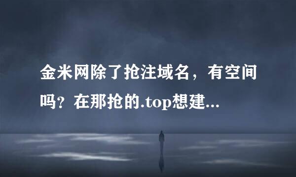 金米网除了抢注域名，有空间吗？在那抢的.top想建站，性价比怎么样