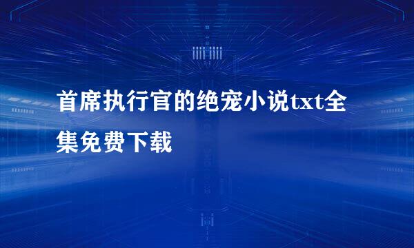 首席执行官的绝宠小说txt全集免费下载