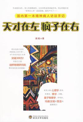 《天才在左疯子在右国内第一本精神病人访谈手记》txt下载在线阅读全文，求百度网盘云资源