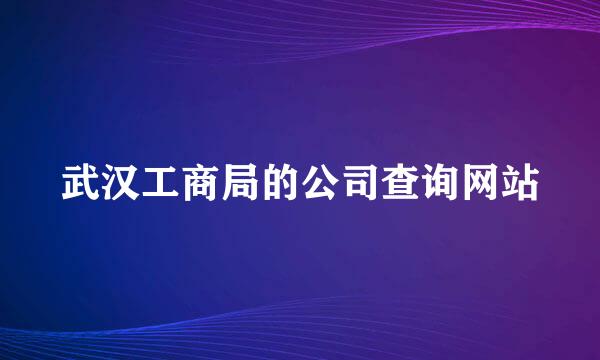 武汉工商局的公司查询网站