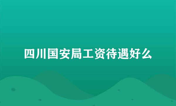 四川国安局工资待遇好么