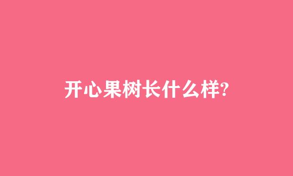 开心果树长什么样?