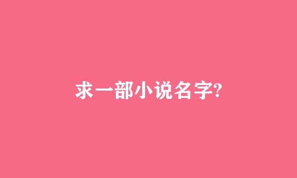 求一部小说名字?