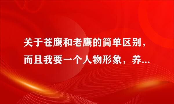 关于苍鹰和老鹰的简单区别，而且我要一个人物形象，养什么鹰比较好