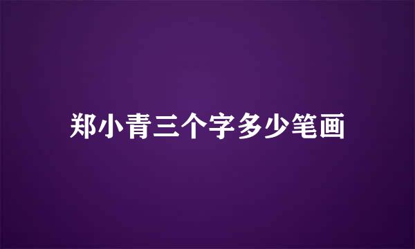 郑小青三个字多少笔画