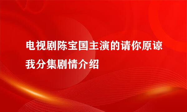 电视剧陈宝国主演的请你原谅我分集剧情介绍